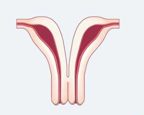 香港YDNA性别鉴定:大家都找这个顾问（微信点开） 有没有胎儿性别鉴定
,香港验