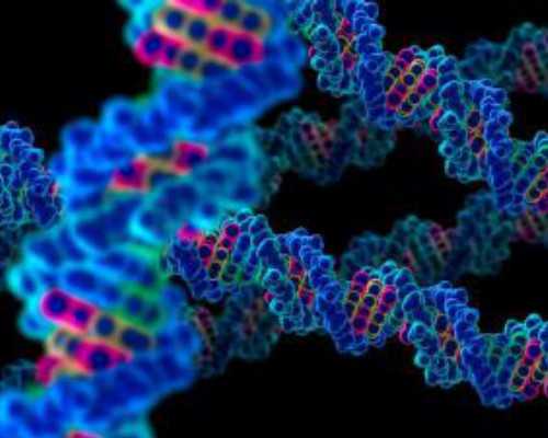 古玩古玩鉴定交易中心,离开你，我的世界没有精彩