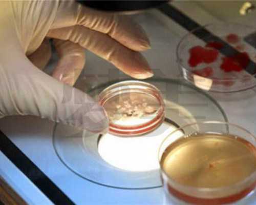 去香港验血看性别多少钱_化验所哪些你不了解的,香港验血多久可以再验