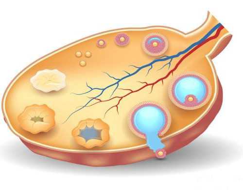 香港验血胎儿性别鉴定准确性,nt女香港验血_测胎儿性别机构哪家好!
