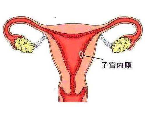 香港验血测男女预约,香港验血陈立志医生_验血查性别没有Y是女孩吗!