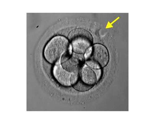 古玩钱币,这些星座不会开始注定是异地恋的恋爱