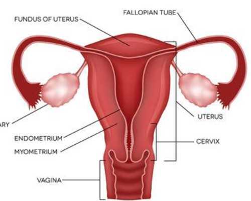 寄血到香港验血多久能出结果,专业的六周查男女单位专业精准