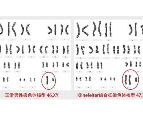 大众古玩店电视剧在线观看完整版免费版,焦俊艳《烽烟尽处》开播，除了拍戏