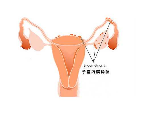 古玩拍卖平台,又美又有钱的星座女