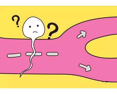 香港验血男孩女孩几天出结果,香港验血查男女准确率大概是多少，二胎三胎都