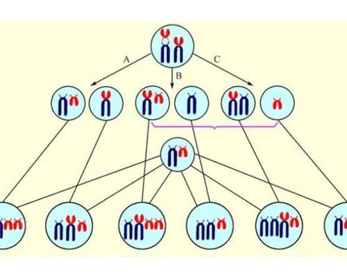 古玩交易平台哪个安全可靠,属鼠白羊座和属狗水瓶座配不配合适吗婚姻指数解
