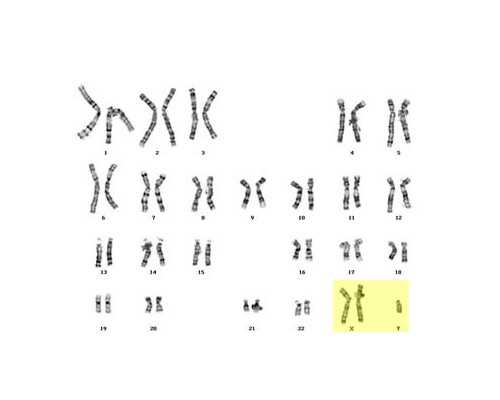 香港验血男翻女多吗？这个给准备去的宝妈一些,香港验血邮寄中介