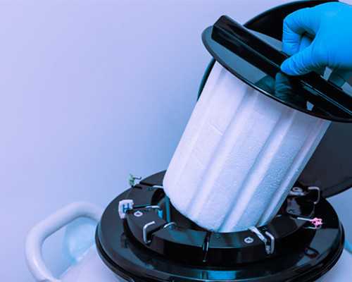 有无在香港验血是女结果生男孩的,芜湖借卵生子，试管婴儿的具体流程完整揭