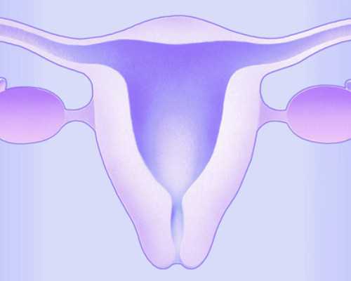 阜阳湾古玩邮币卡,前端开发-CSS中单位概述