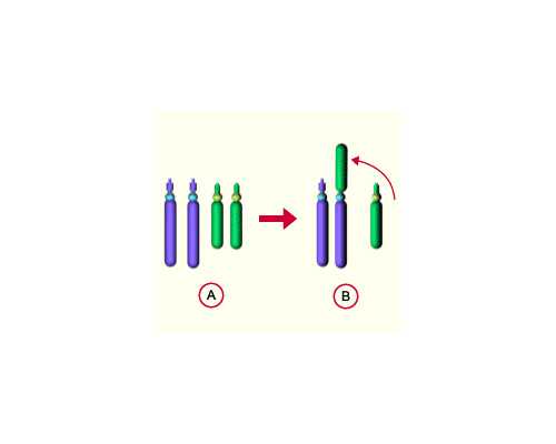 香港验血2次没有结果,怀孕12周可以香港验血_鉴定性别真的靠谱吗!