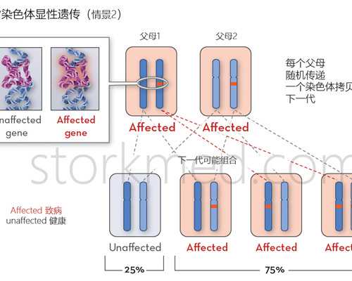 香港验血测胎儿性别多久出结果,β-hcg人绒毛膜促性腺激素是什么意思